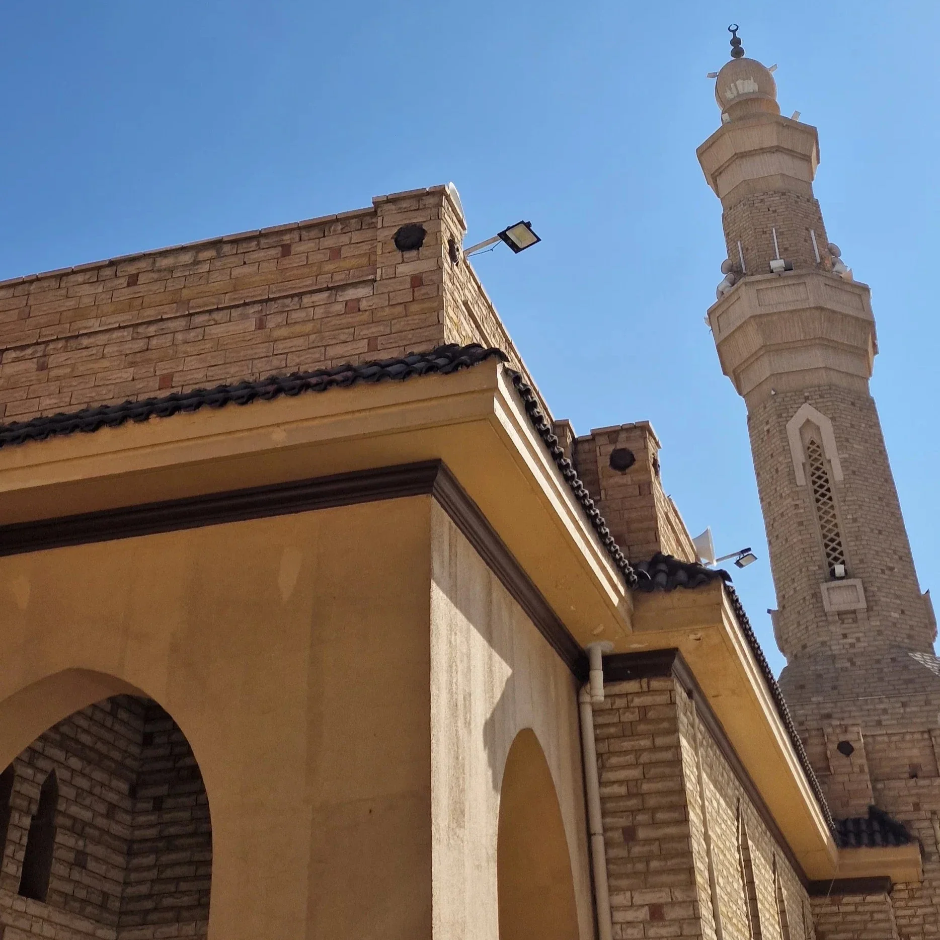 Taif Expedition - Image 6